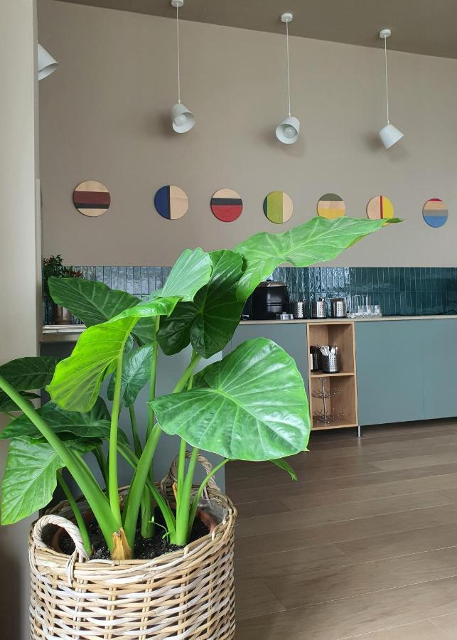 Marida Hotel Satu Mare Eksteriør billede